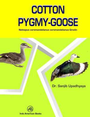 Cotton Pygmy-Goose : Nettapus Coromandelianus Coromandelianus Gmelin