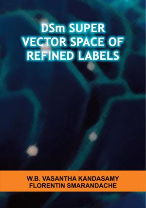 DSm Super Vector Space of Refined Labels