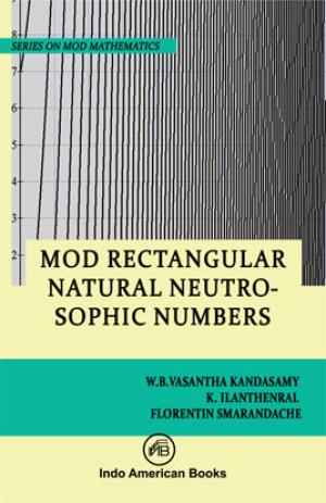 Mod Rectangular Natural Neutrosophic Numbers