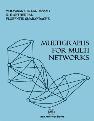 Multigraphs for Multi Networks