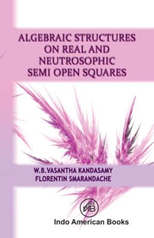 Algebraic Structures on Real and Neutrosophic Semi Open Squares