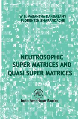 Neutrosophic Super Matrices and Quasi Super Matrices