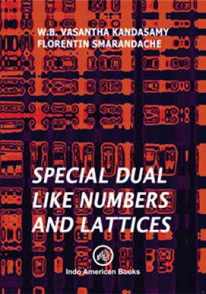 Special Dual like Numbers and Lattices