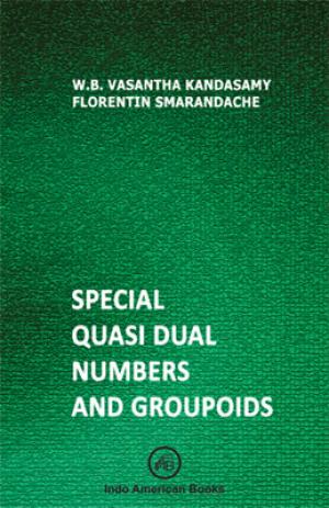 Special Quasi Dual Numbers and Groupoids