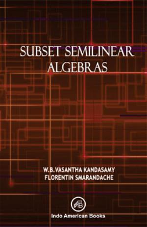 Subset Semilinear Algebras