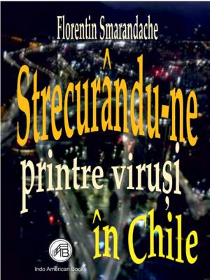 Strecurandu-ne printre virusi in Chile